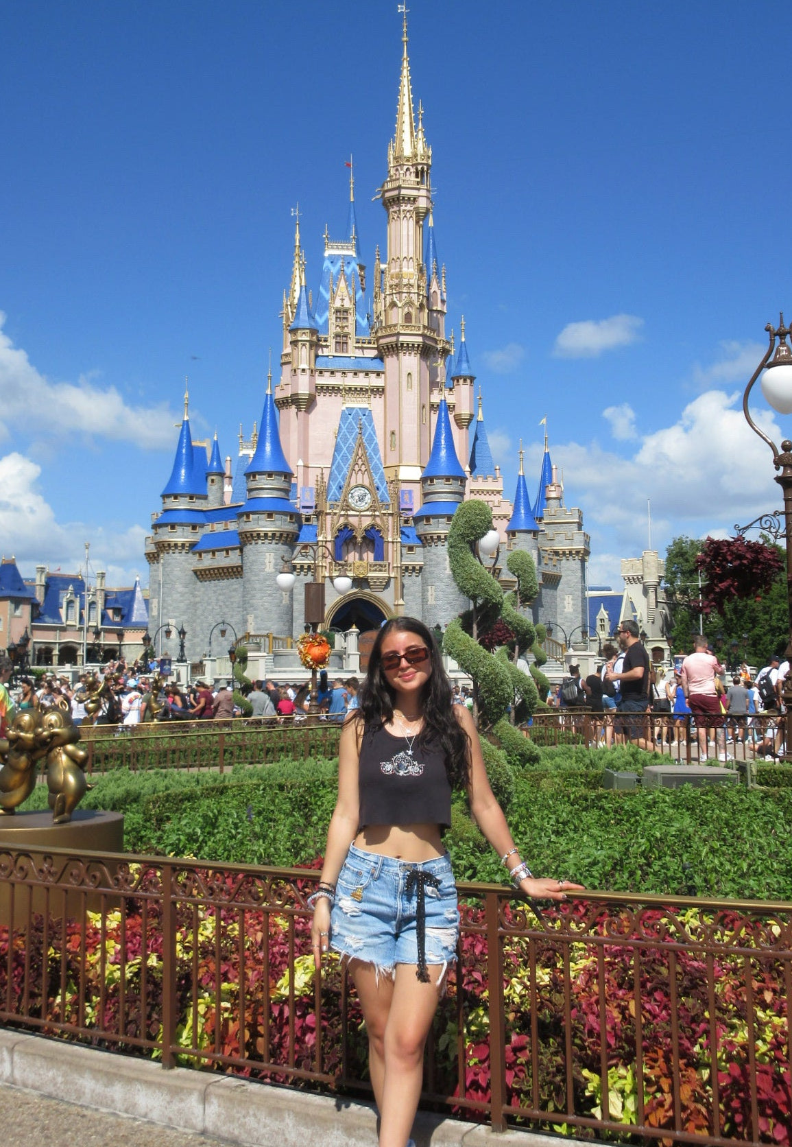 Cinderella's Carriage Tank