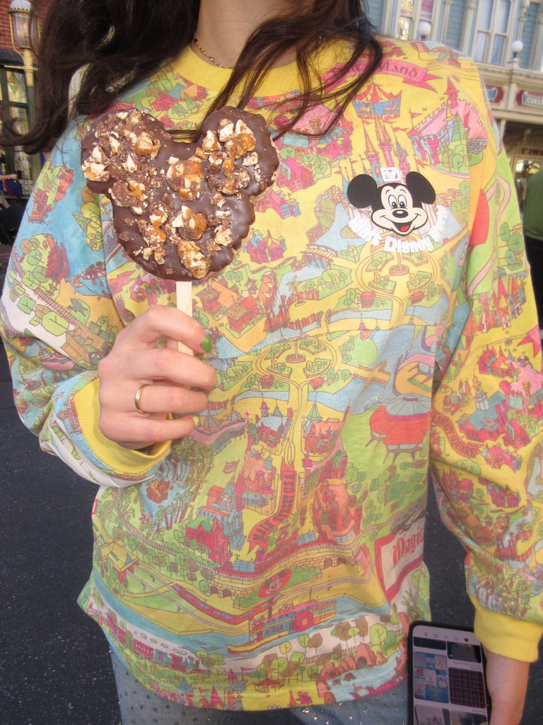 Walt Disney World Spirit Jersey