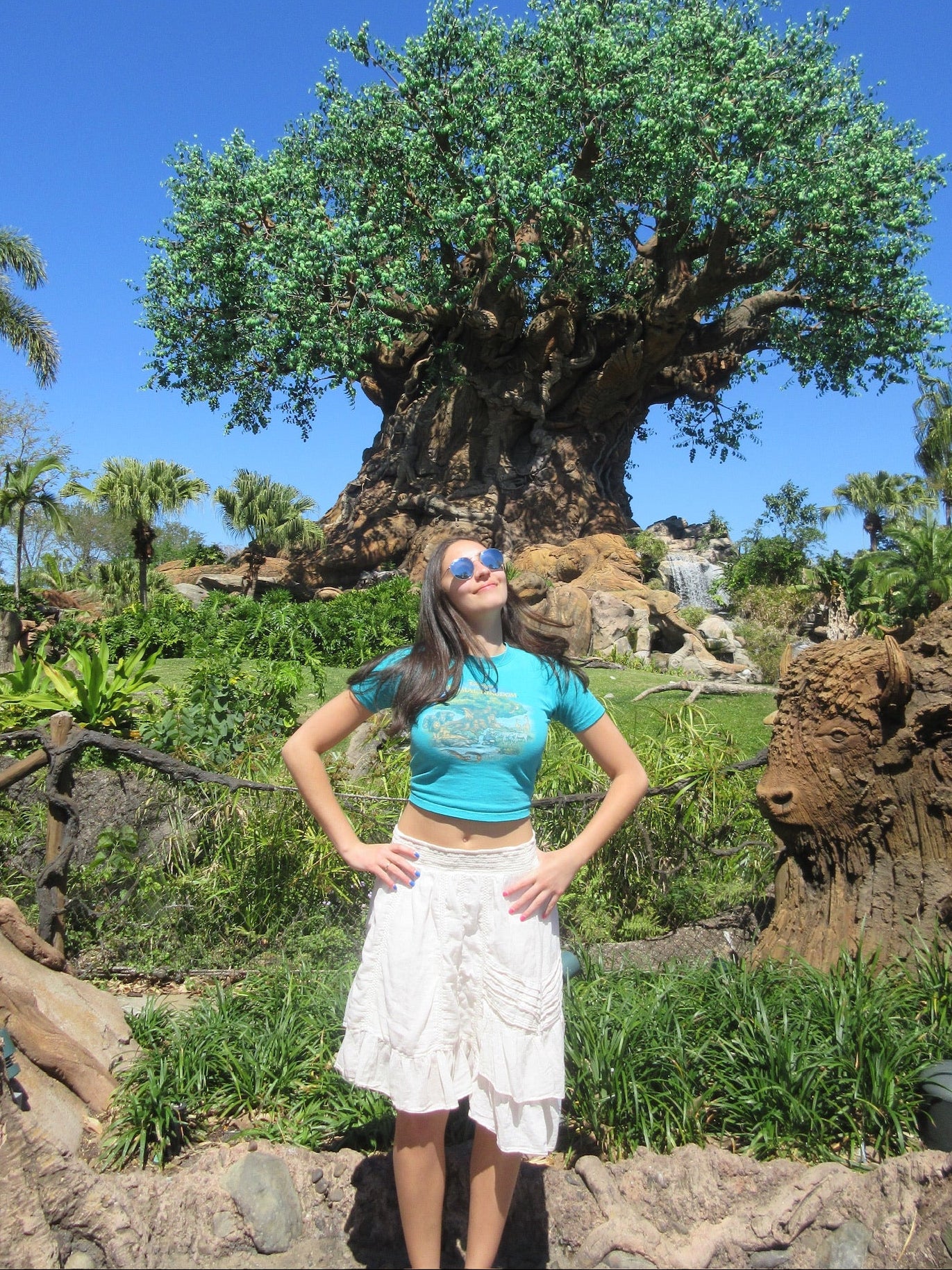 Animal Kingdom Baby Tee
