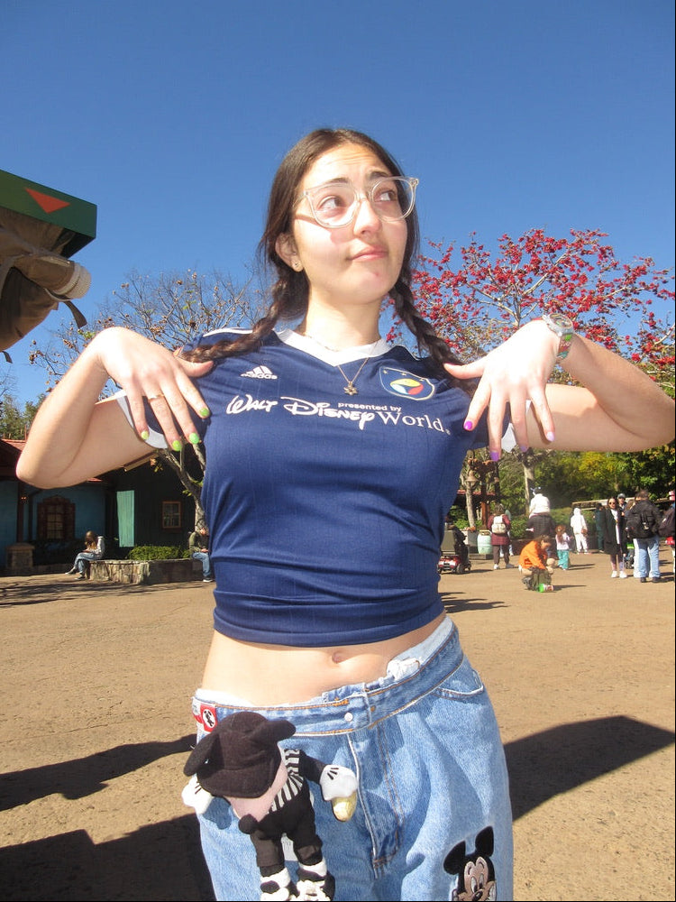 Walt Disney World Jersey