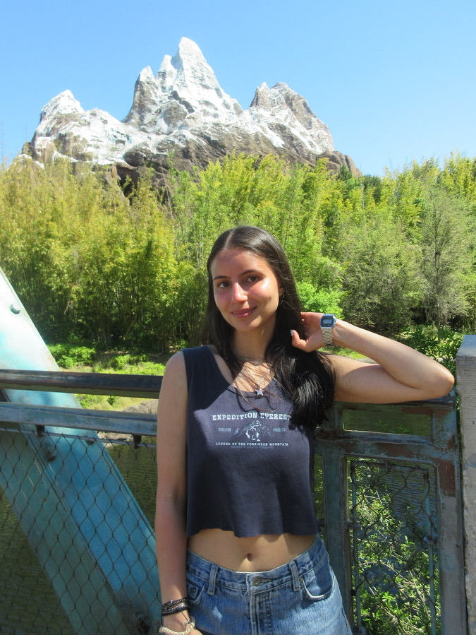 Expedition Everest Tank