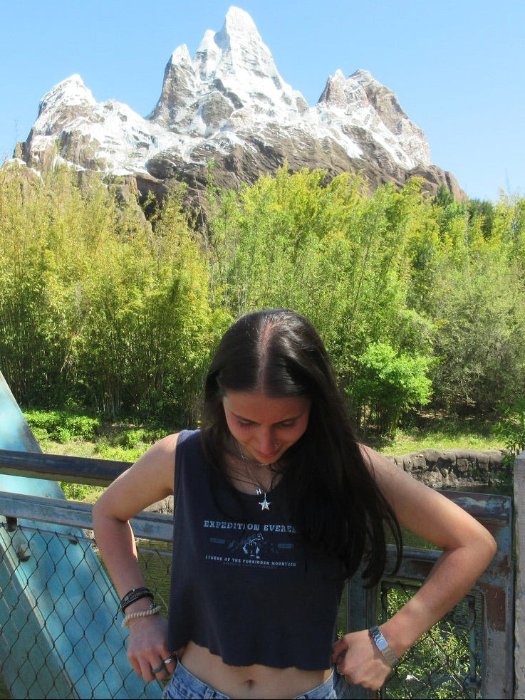 Expedition Everest Tank